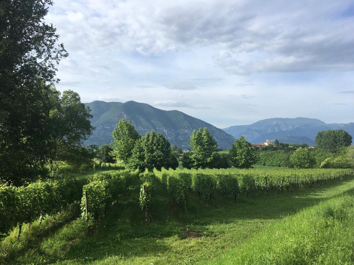 Holiday Home Punta D'Oro With Garden, Parking Place And Lake Access At 300 M Iseo Buitenkant foto