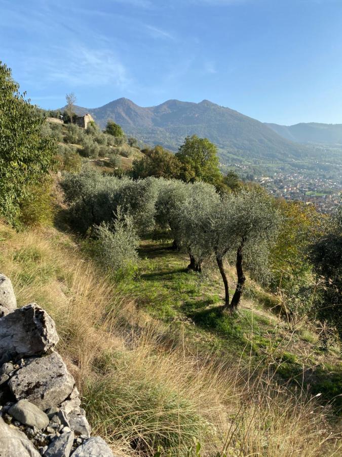 Holiday Home Punta D'Oro With Garden, Parking Place And Lake Access At 300 M Iseo Buitenkant foto