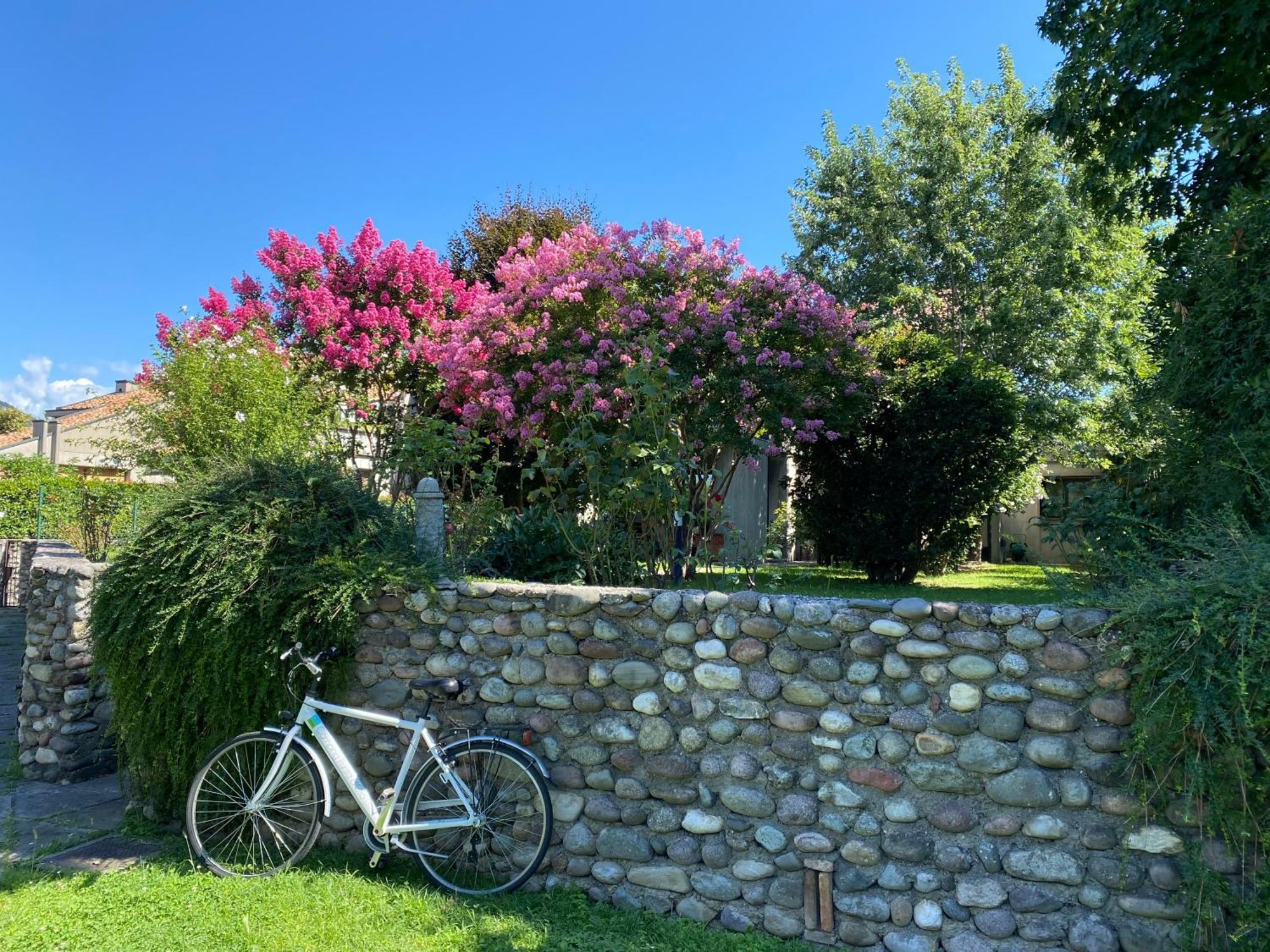 Holiday Home Punta D'Oro With Garden, Parking Place And Lake Access At 300 M Iseo Buitenkant foto